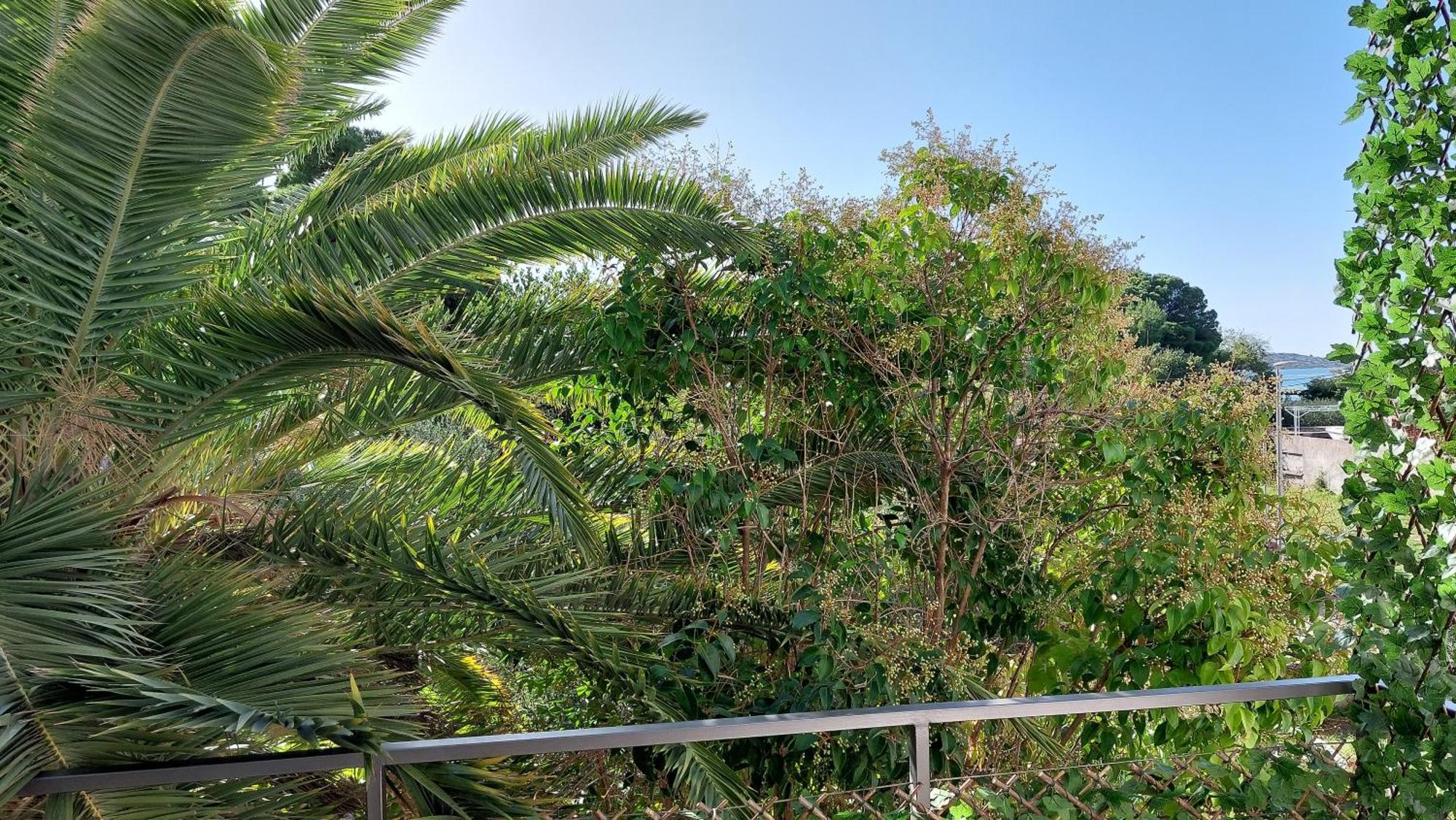 Refresh Boutique Apartments Vodice Pokój zdjęcie